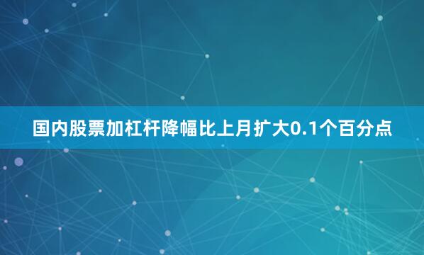 国内股票加杠杆降幅比上月扩大0.1个百分点