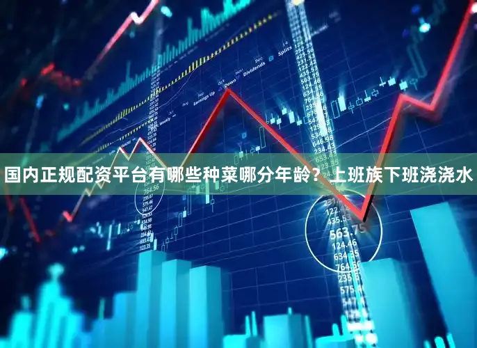 国内正规配资平台有哪些种菜哪分年龄？上班族下班浇浇水