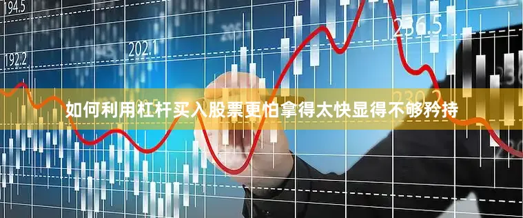 如何利用杠杆买入股票更怕拿得太快显得不够矜持